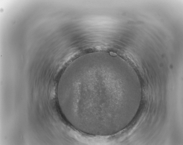 X0000088430032200705291536