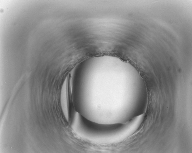 X0000088430033200705291536