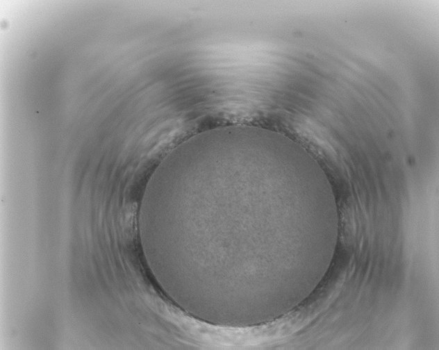 X0000088430034200705291536