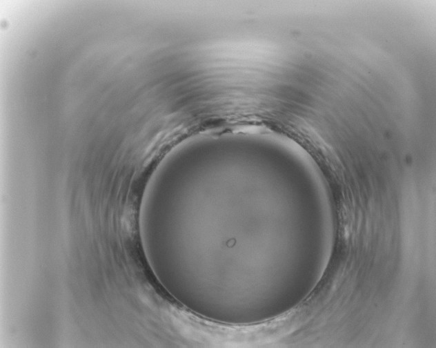 X0000088430035200705291536