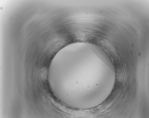 X0000088430036200705291536