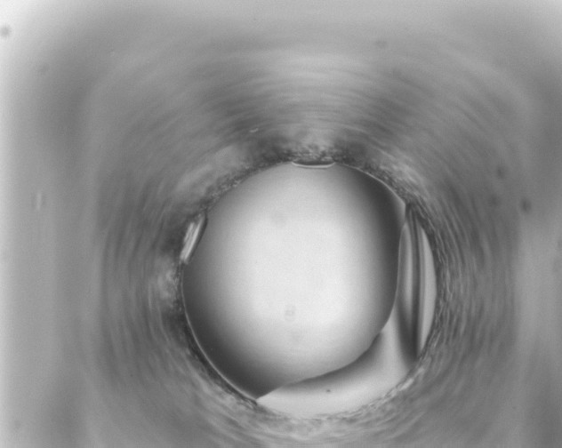 X0000088430037200705291536