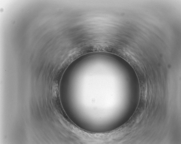 X0000088430038200705291536