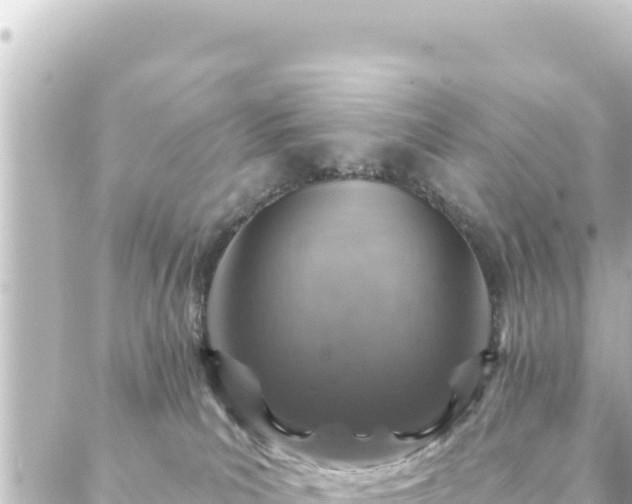 X0000088430039200705291536