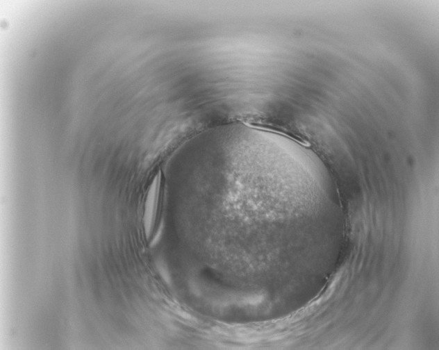 X0000088430041200705291536