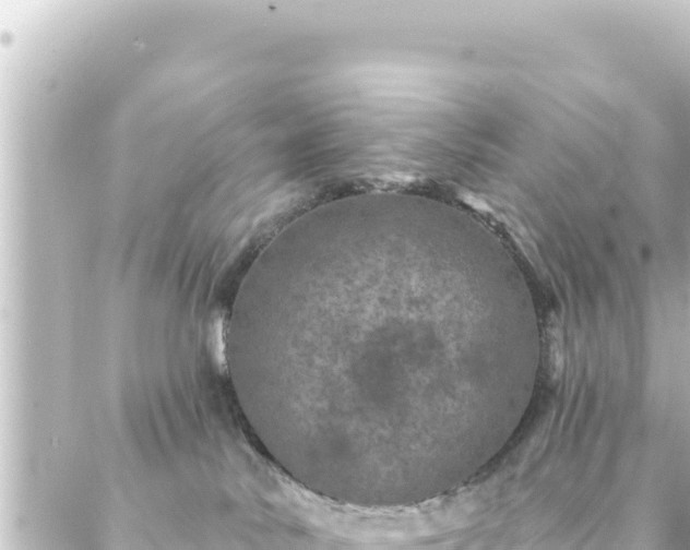 X0000088430042200705291536