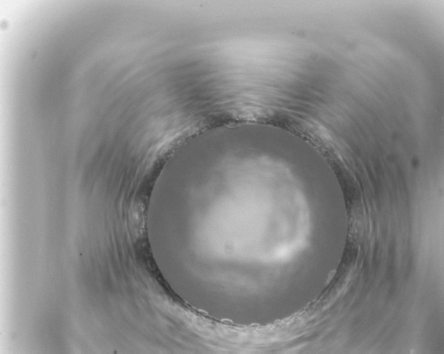 X0000088430043200705291536