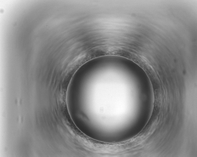 X0000088430044200705291536