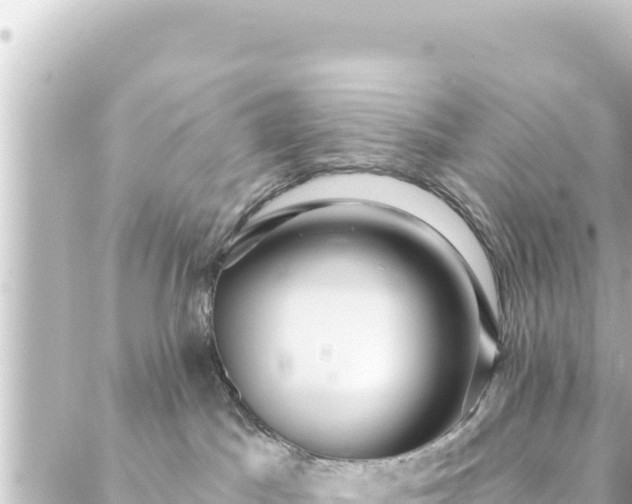 X0000088430045200705291536