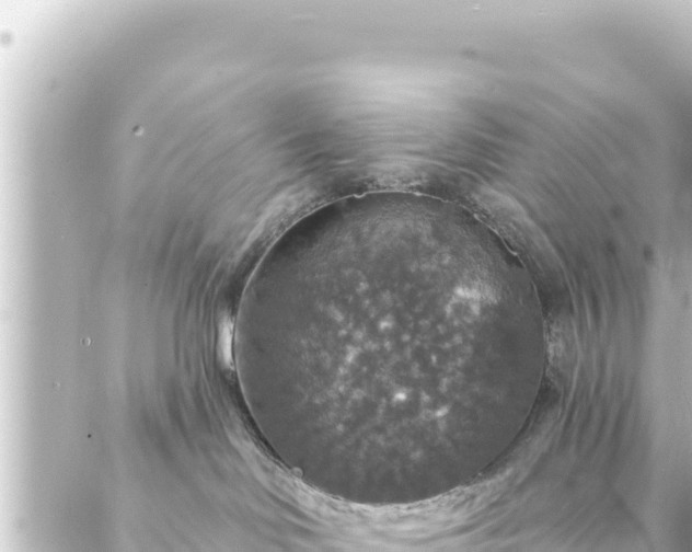 X0000088430046200705291536