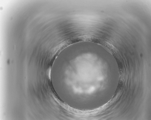 X0000088430047200705291536