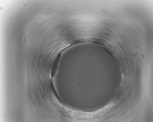 X0000088430048200705291536