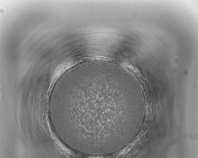 X0000088430049200705291535