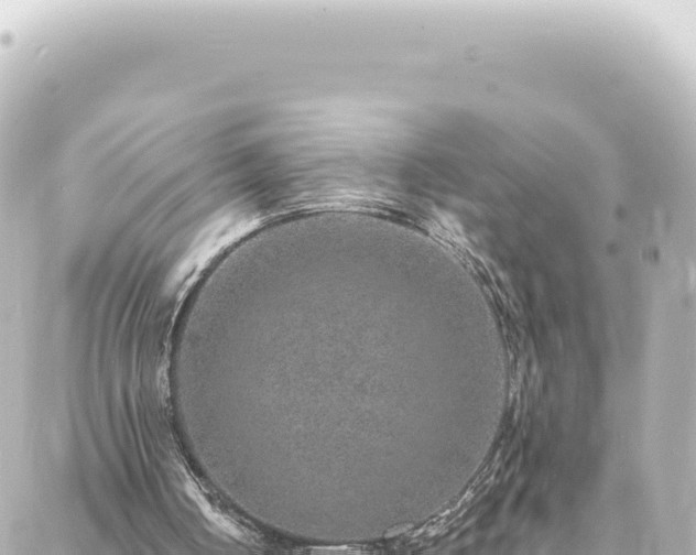 X0000088430050200705291535