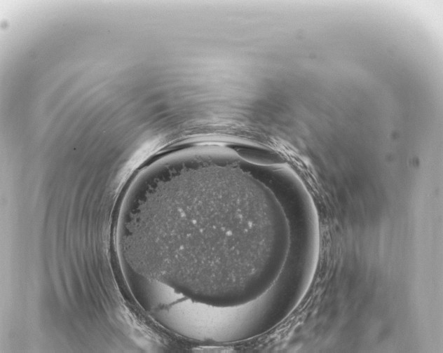 X0000088430051200705291535