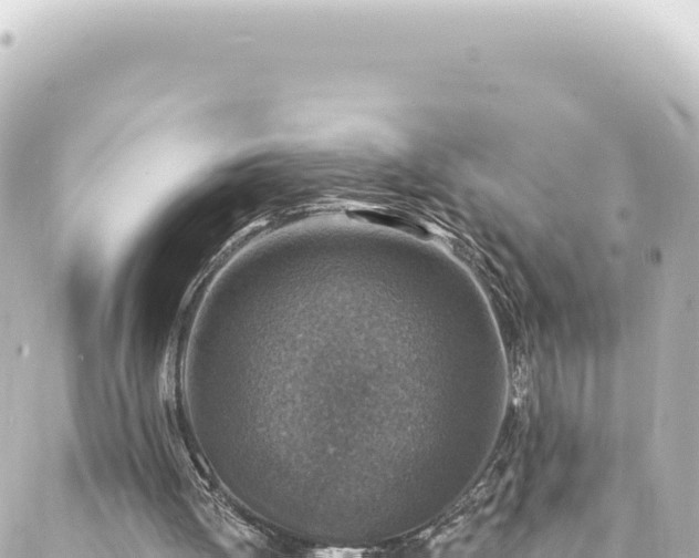 X0000088430052200705291535