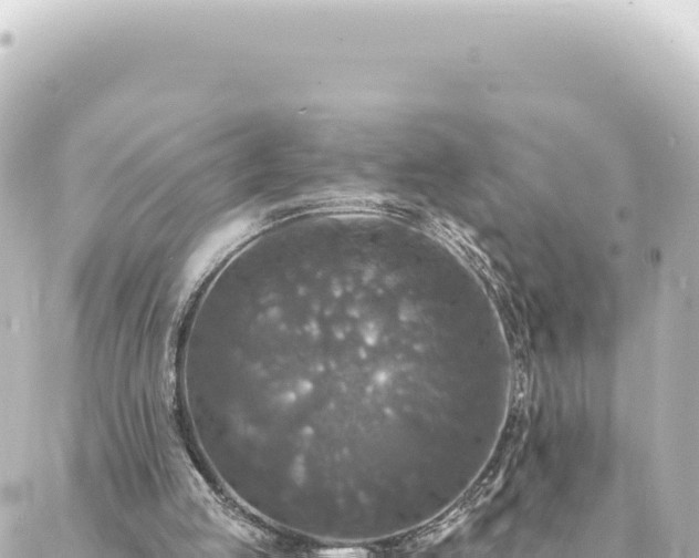 X0000088430053200705291535