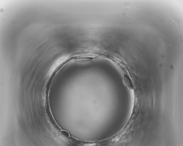 X0000088430054200705291535