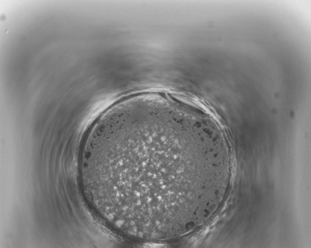 X0000088430055200705291535