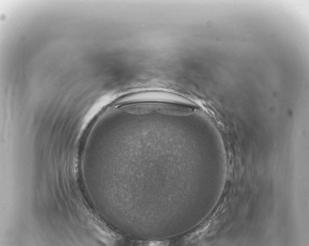 X0000088430056200705291535