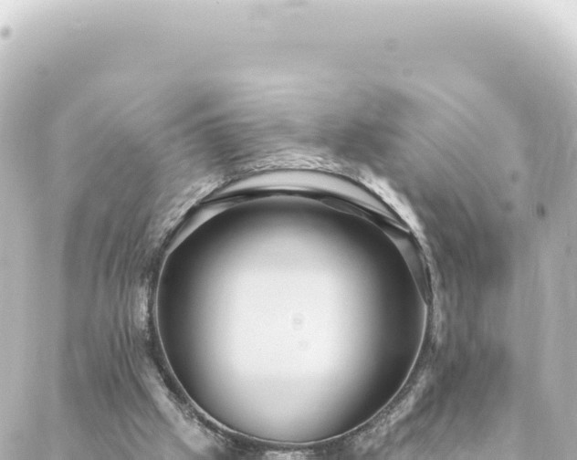 X0000088430057200705291535