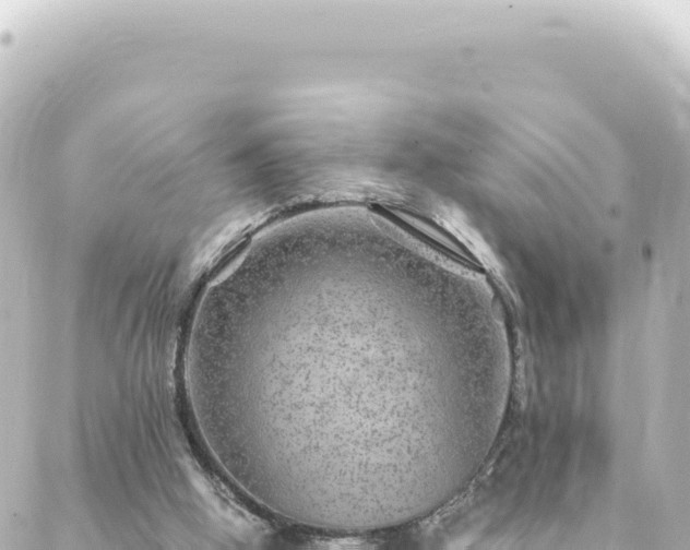 X0000088430058200705291535