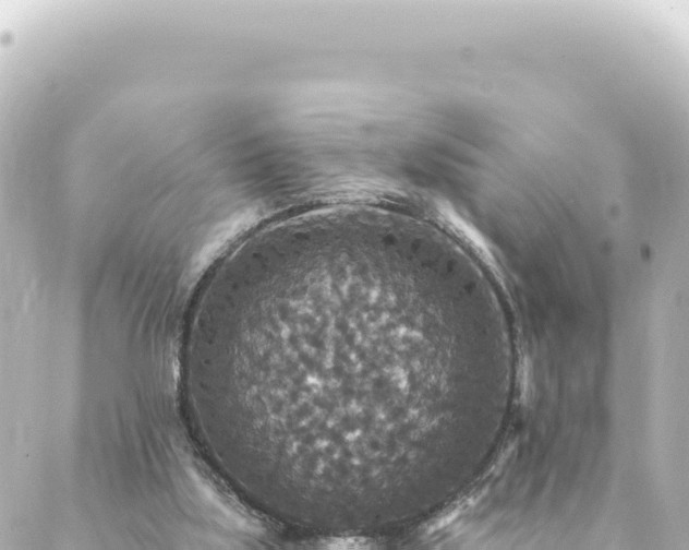 X0000088430059200705291535