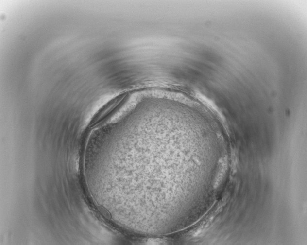 X0000088430060200705291535