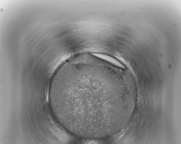 X0000088430062200705291535