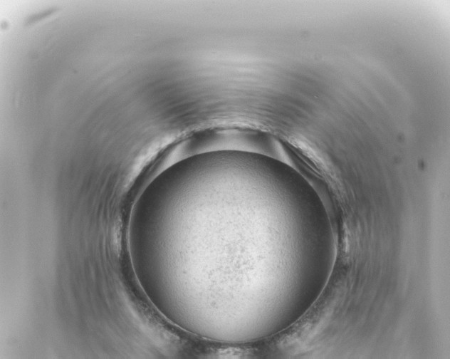 X0000088430064200705291535