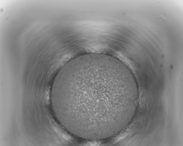 X0000088430065200705291535