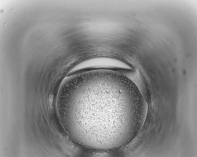 X0000088430066200705291535