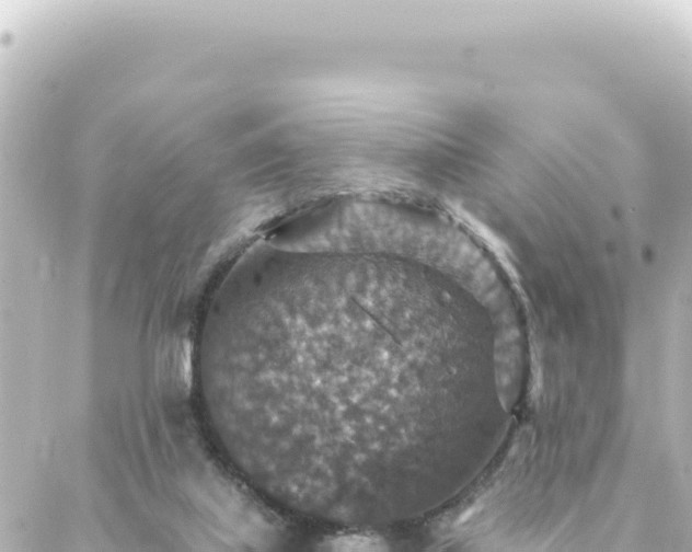 X0000088430067200705291535