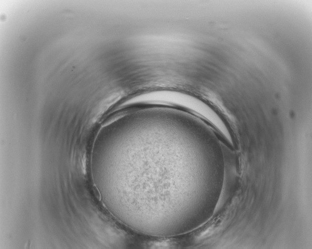 X0000088430068200705291535