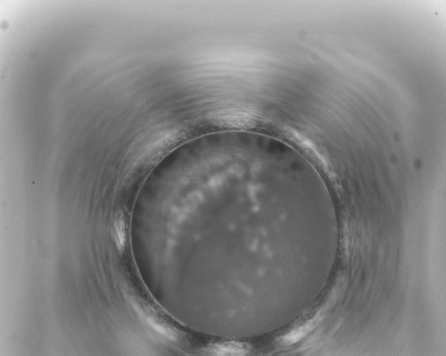 X0000088430069200705291535