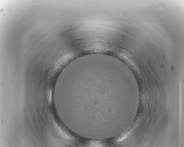 X0000088430070200705291535