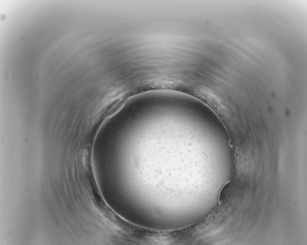 X0000088430071200705291535