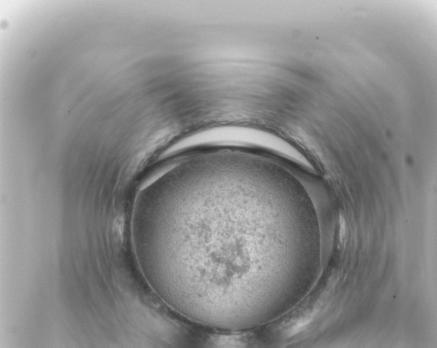 X0000088430072200705291535