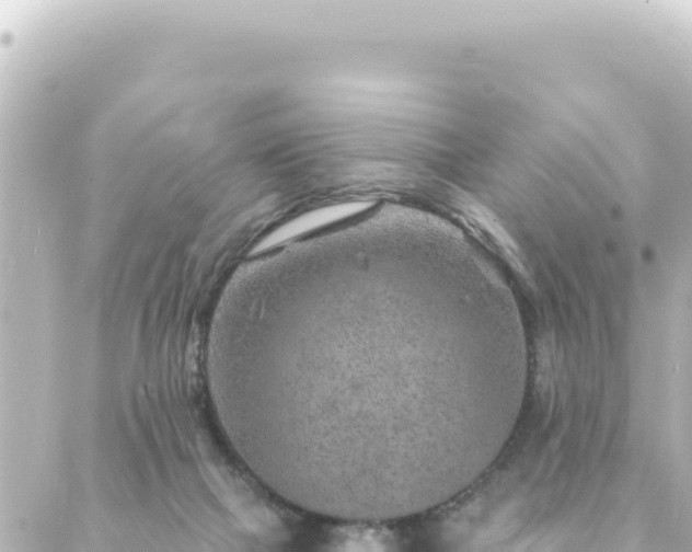 X0000088430073200705291535