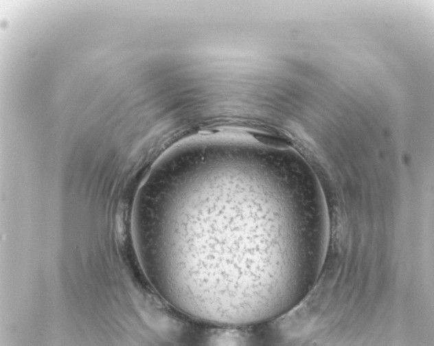 X0000088430074200705291535