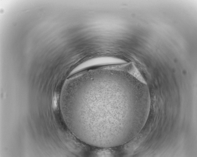 X0000088430075200705291536