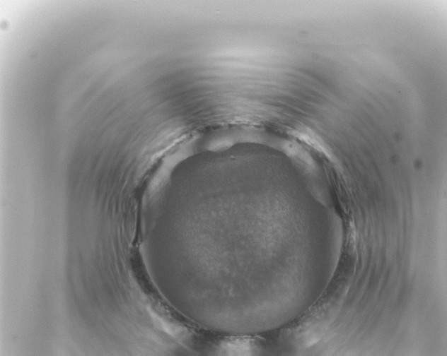 X0000088430076200705291536