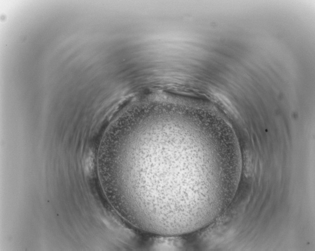 X0000088430077200705291536