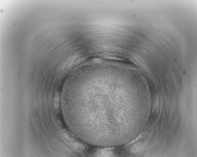 X0000088430078200705291536