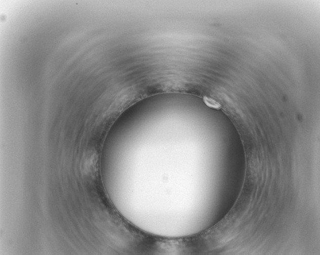 X0000088430079200705291536