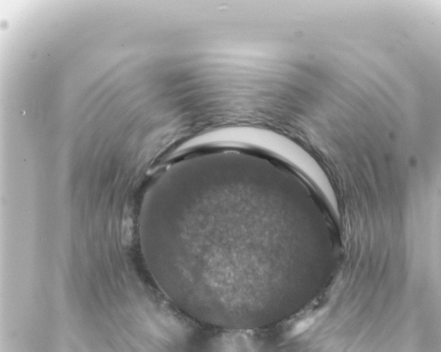 X0000088430080200705291536