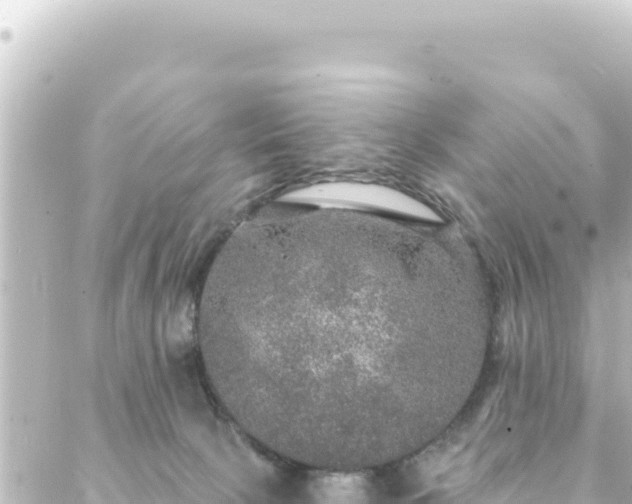 X0000088430081200705291536