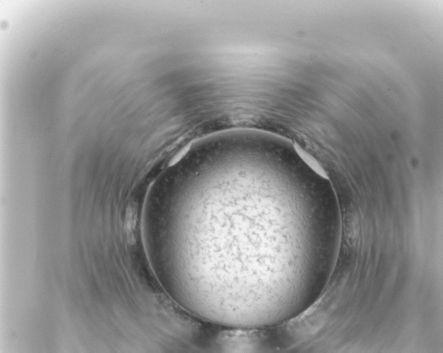 X0000088430082200705291536