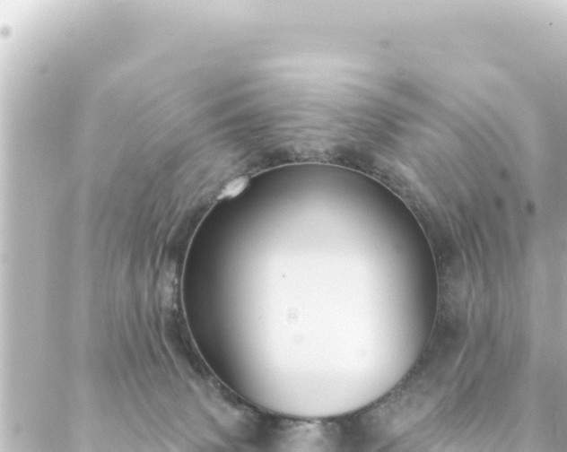 X0000088430083200705291536