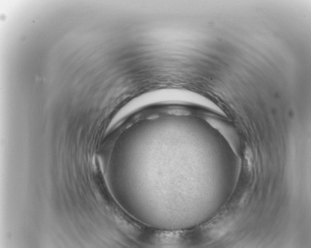 X0000088430084200705291536